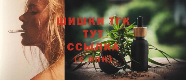 амф Протвино