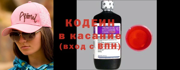 амф Протвино