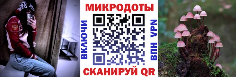 Галлюциногенные грибы MAGIC MUSHROOMS  купить наркотики цена  mega рабочий сайт  Струнино 